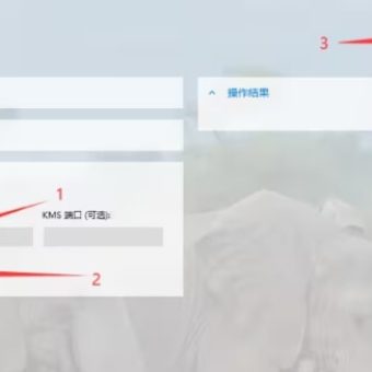 Office Tool Plus 一键部署 Office 个人也能轻松使用上免费的Office 附使用教程-8