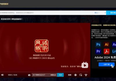 如何使用视频解析工具播放视频？？？
