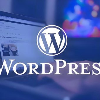 WordPress关闭自动更新、禁用古腾堡编辑器、固定连接伪静态设置-1