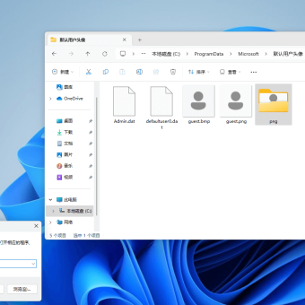 如何恢复 Windows 11 系统登录用户半透明头像？？？