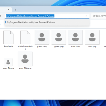 如何恢复 Windows 11 系统登录用户半透明头像？？？